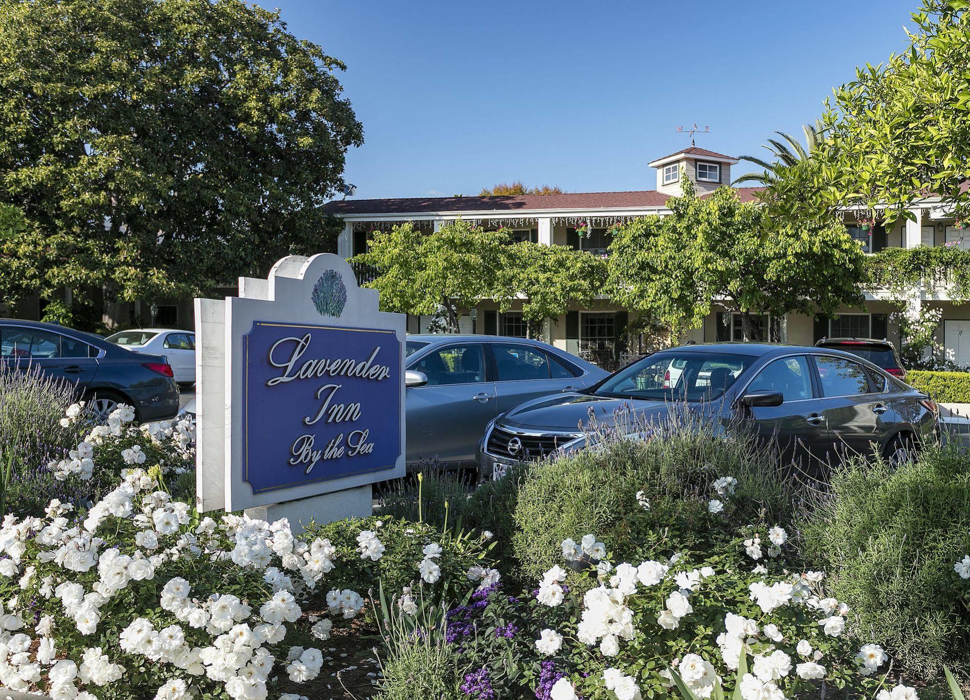 Lavender Inn By The Sea Santa Barbara Kültér fotó